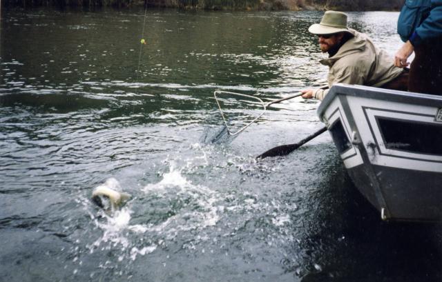 gal/Fishing 1/File0033.jpg